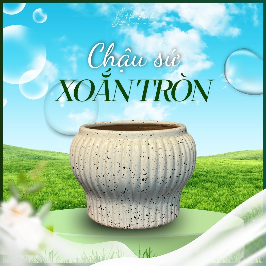 Chậu Sứ Xoắn Tròn&nbsp;
